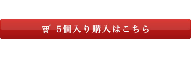 セット内容 5個入り4,480円