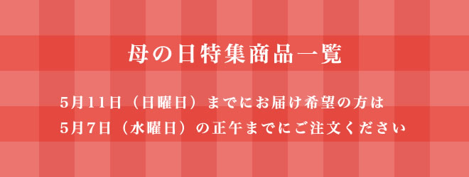 母の日特集商品一覧
